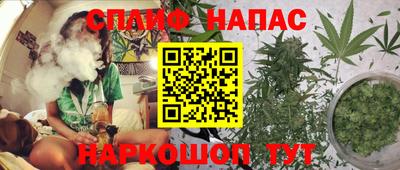 apvp Гусев