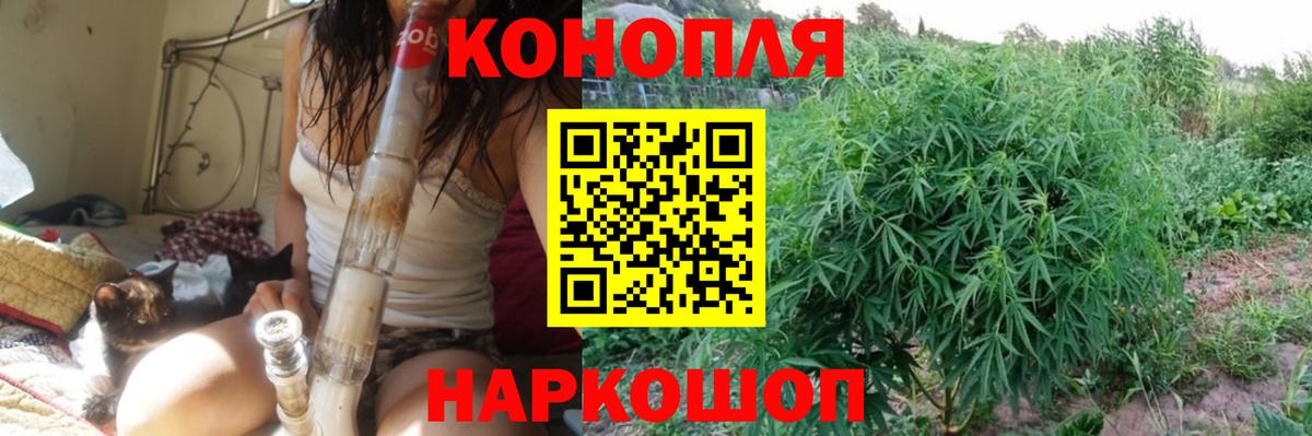 Бошки марихуана White Widow  МАРИХУАНА тримм  Вход с VPN  Надым 